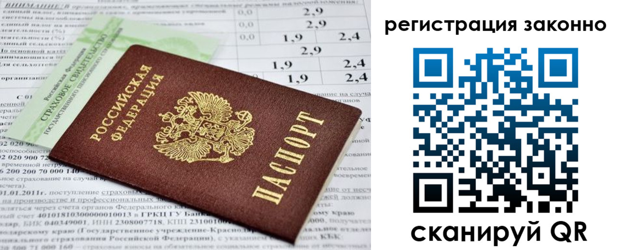 прописка поиск в Каргополе